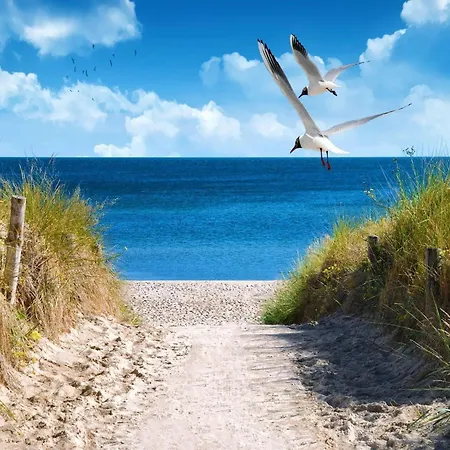 Gemuetliches Ostsee-cottage Fuer 8 Personen * Großenbrode